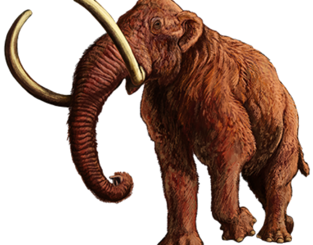 Woolly mammoths coming soon