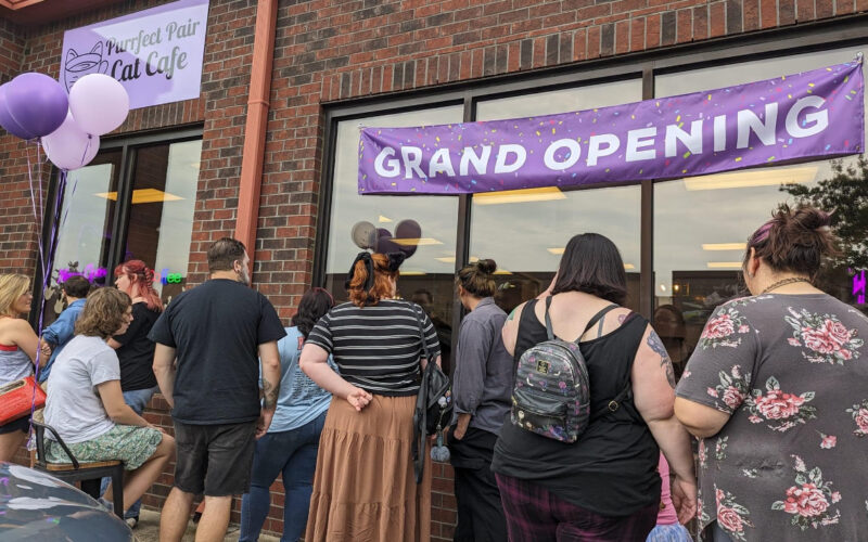 First Cat Cafe in York County is a Purrfect Hangout Spot for Winthrop Students