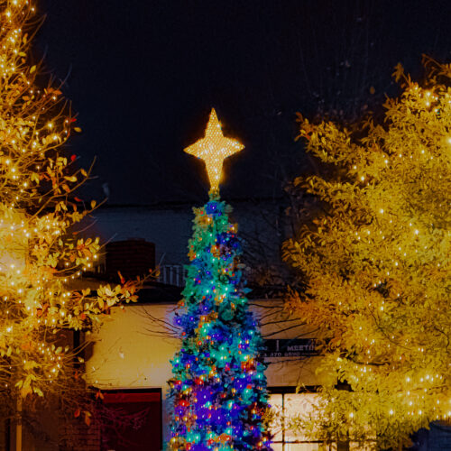 Where to Find the Holiday Magic in and Around Rock Hill