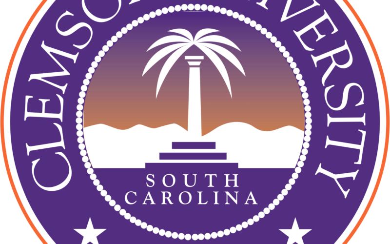 Measles makes a comeback: severe outbreak in South Carolina