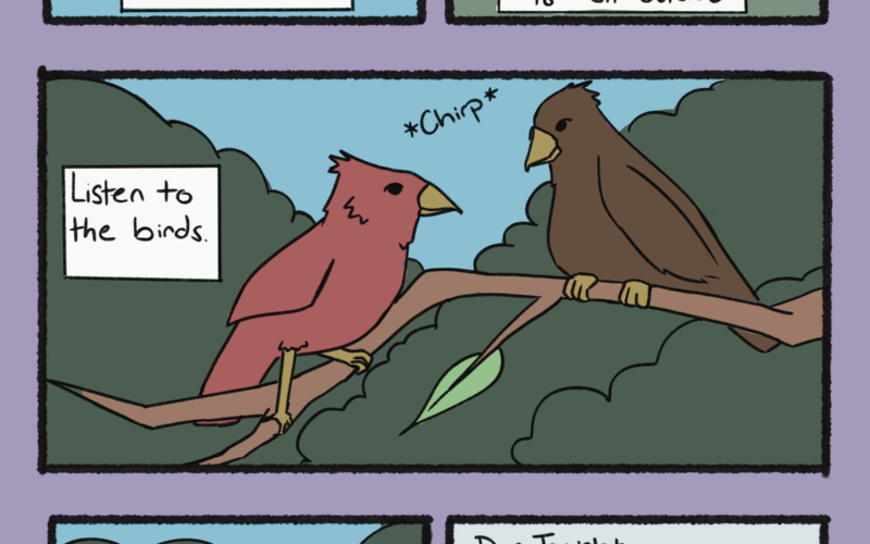 Comic March 12, 2026